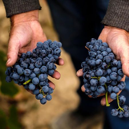 شقة Enoturismo Celler Pinol Batea المظهر الخارجي الصورة