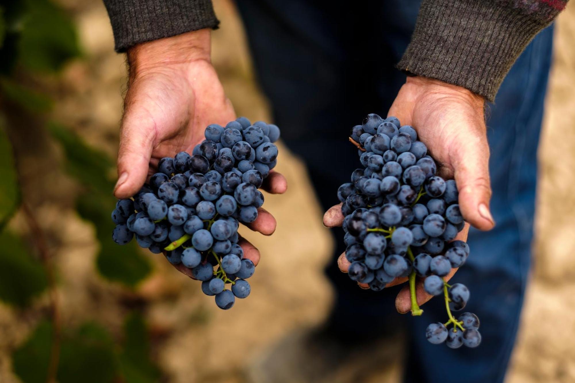شقة Enoturismo Celler Pinol Batea المظهر الخارجي الصورة